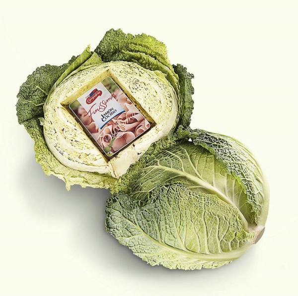 Photograph Gonzalo Puertas Cabbage on One Eyeland
